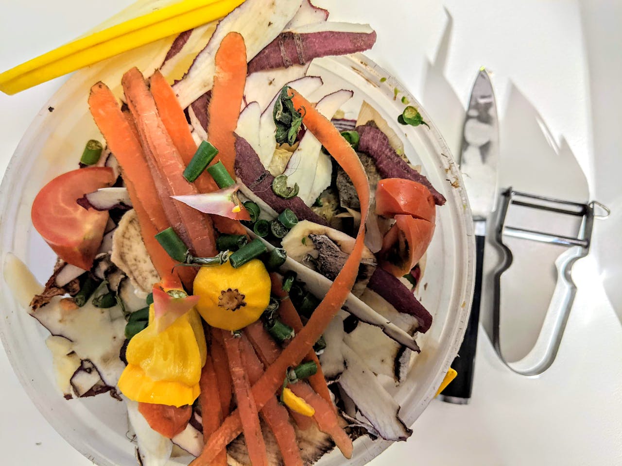 Pile of Organic Waste