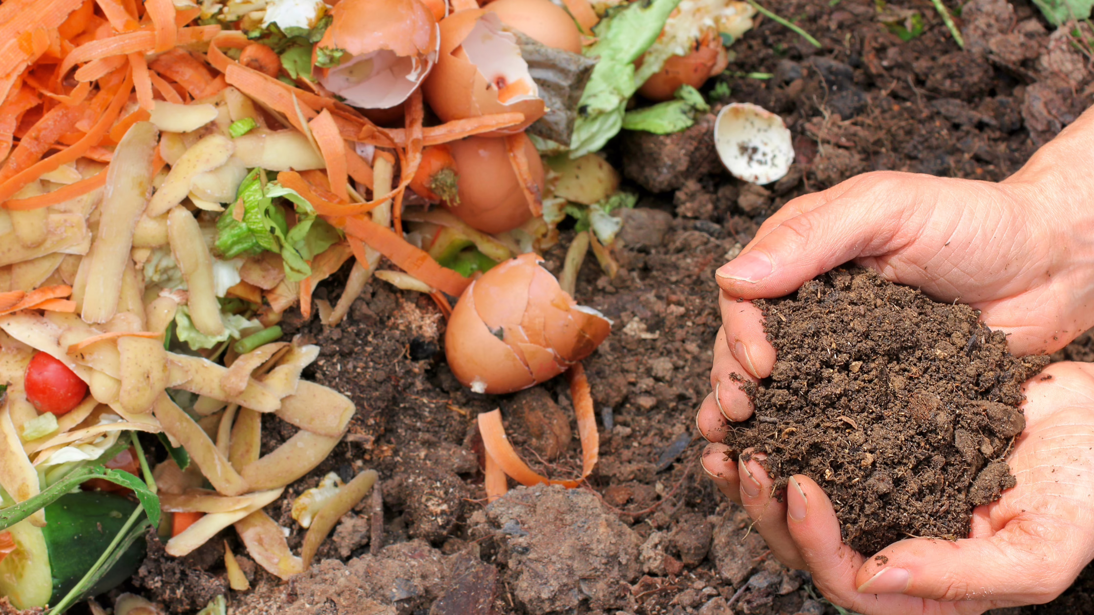 Separate Greens vs. Browns to balance your home compost.