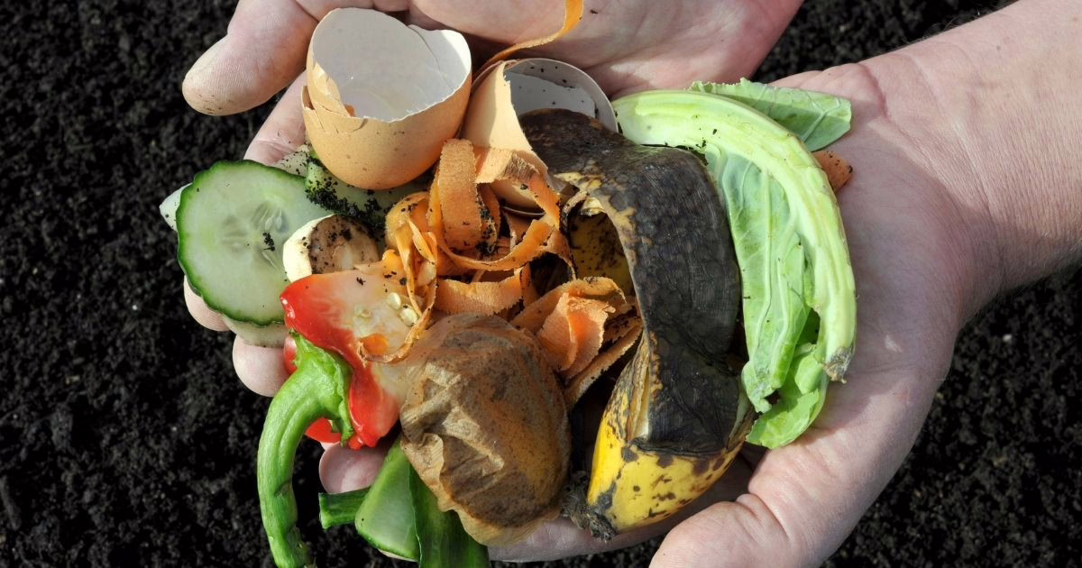 Hands holding food waste